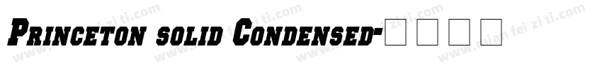 Princeton solid Condensed字体转换